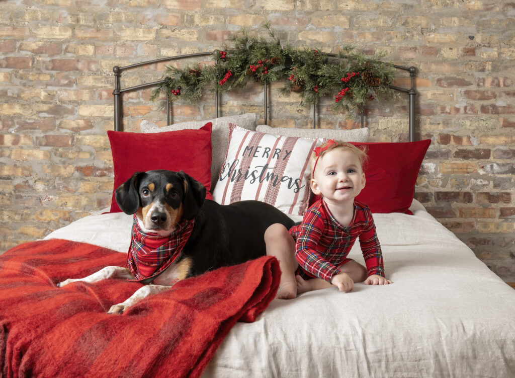 a toddler girl and her dog wearing matching holiday attire sitting on a bed for their holiday photos
