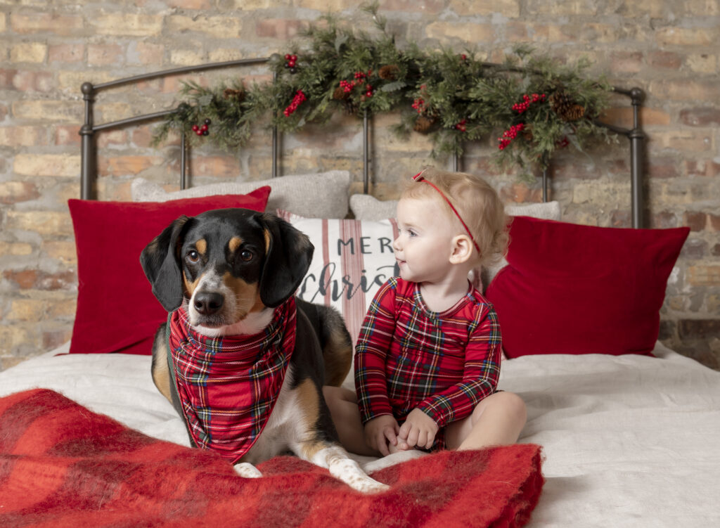 toddler girl and her dog wearing matching holiday outfits for their holiday photos